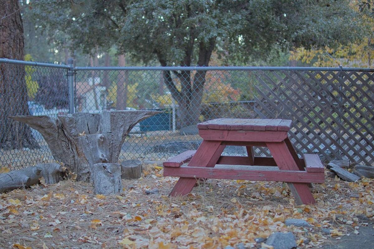 Ray'S Dear Cottage Wrightwood Εξωτερικό φωτογραφία